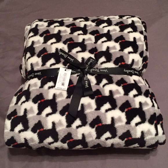 cheap tracking collars